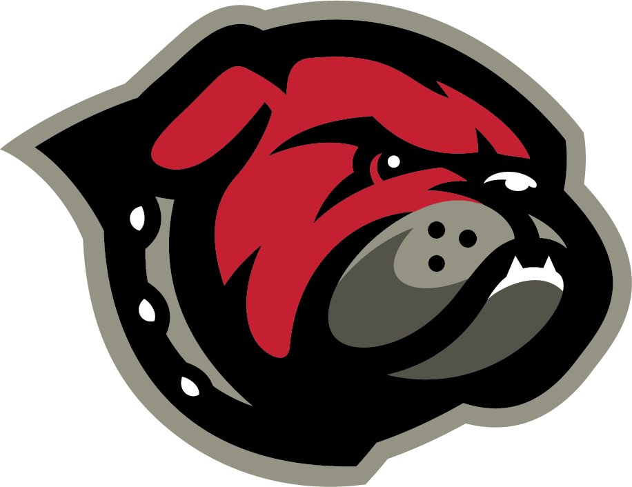 Team Logo